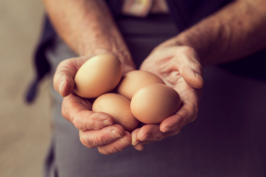 Quantos ovos devemos comer?
