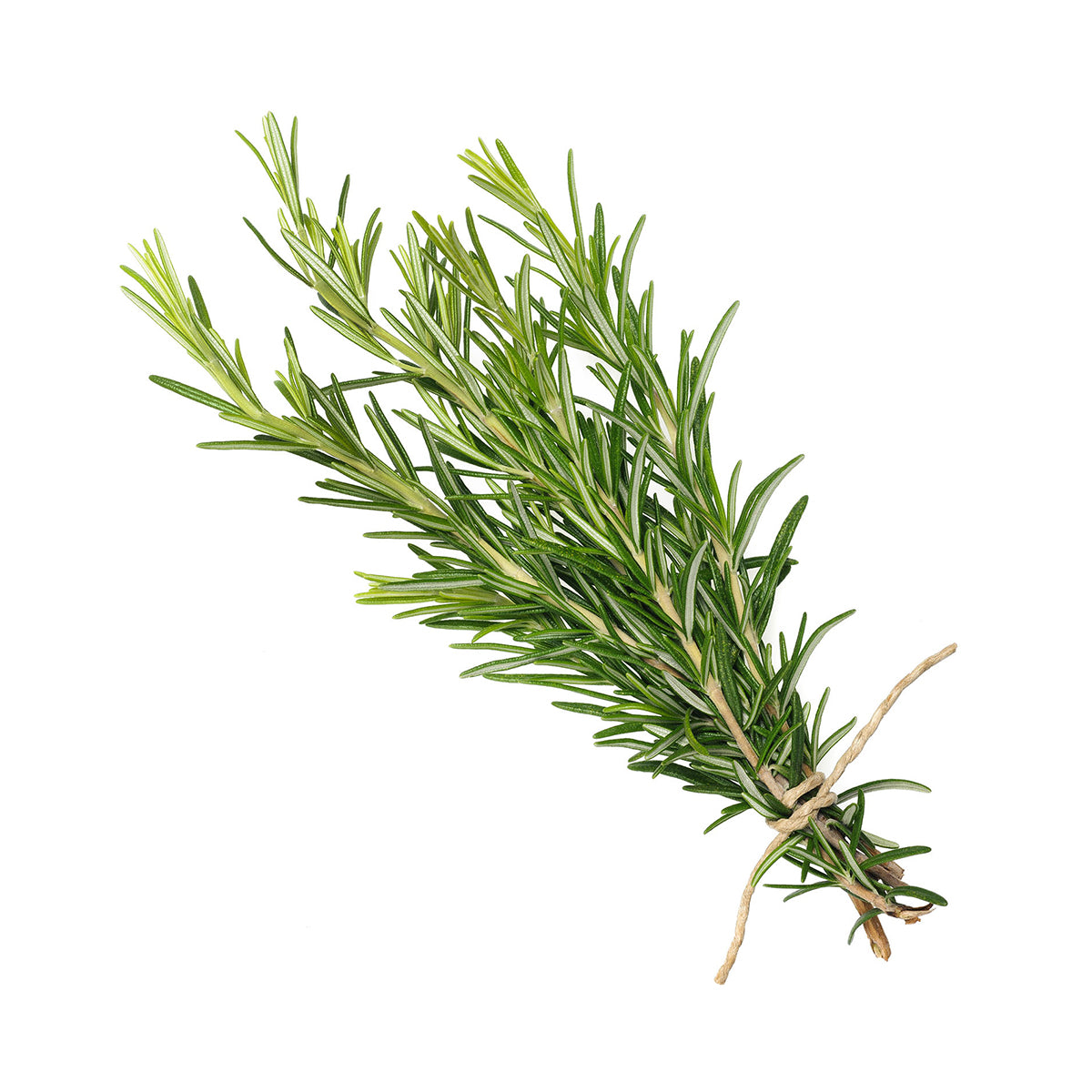 Alecrim BIO 30 gr - Go Natural