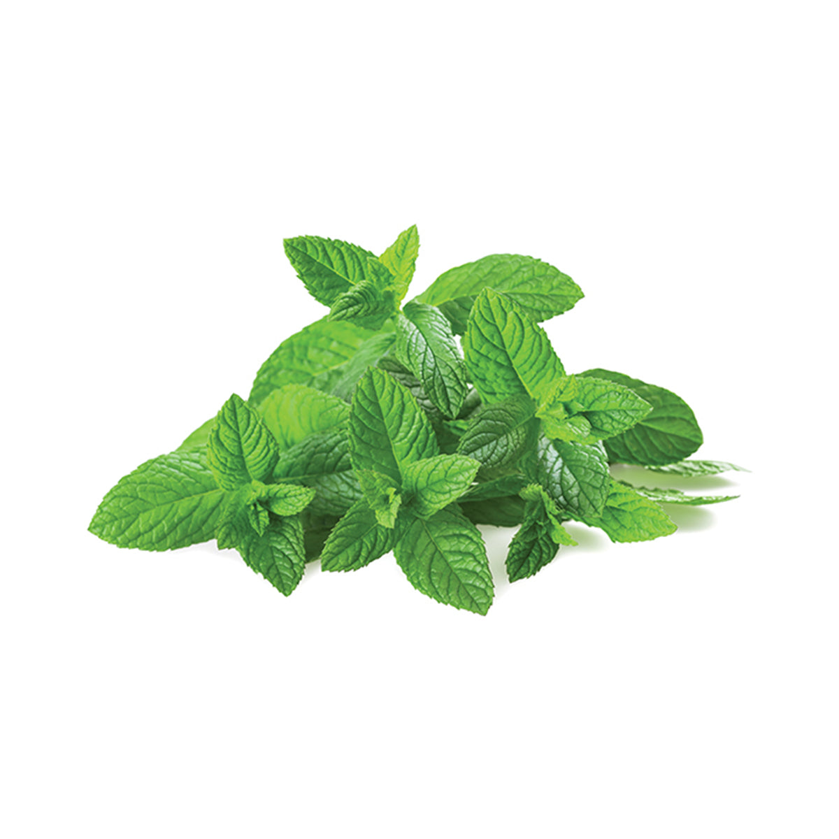 Hortelã BIO 30 gr - Go Natural