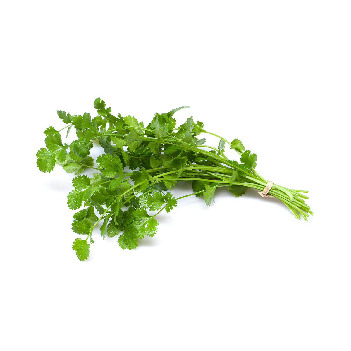 Salsa BIO 30 gr - Go Natural