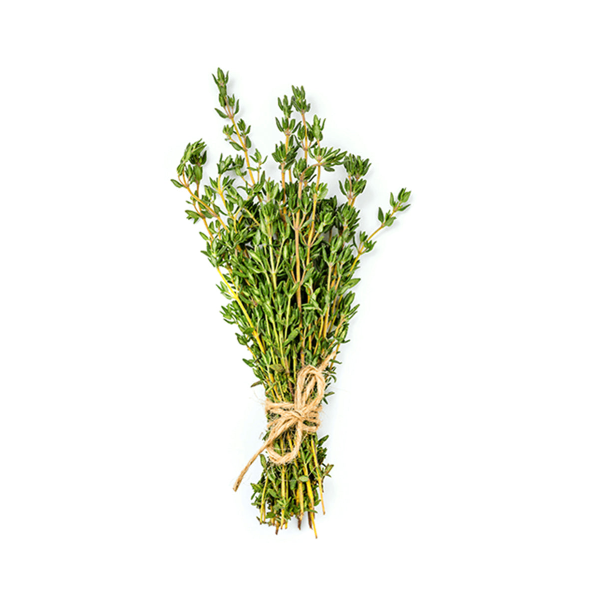 Tomilho BIO 30 gr - Go Natural