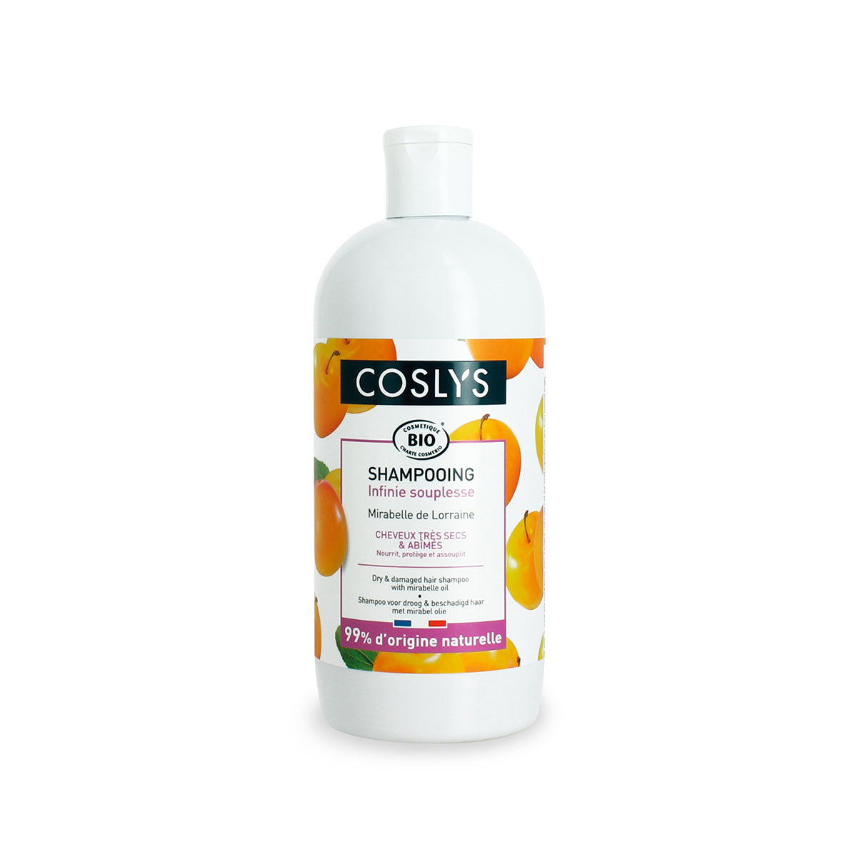 Champô Cabelo Seco e Danificado 500 ml - Go Natural