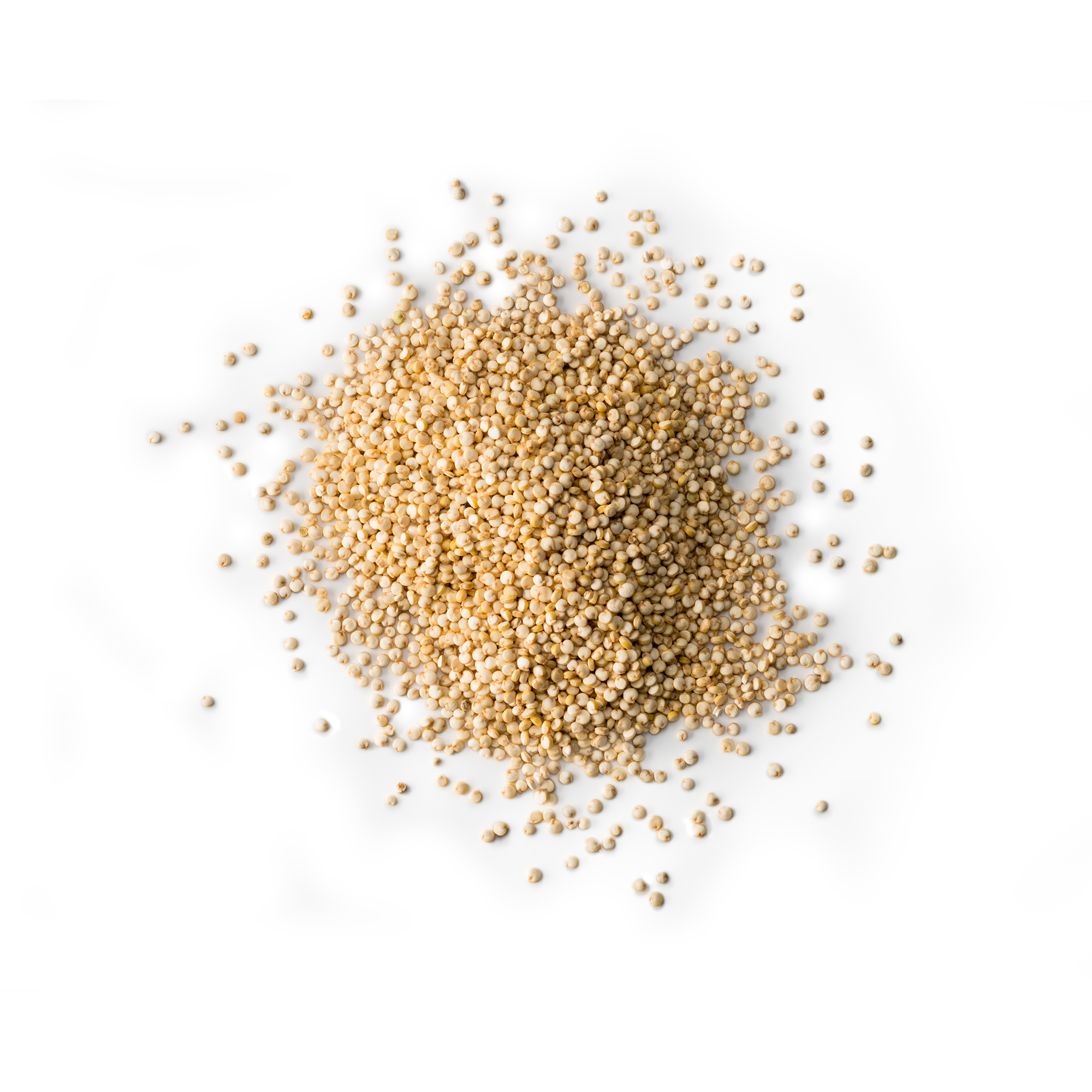 Quinoa BIO Granel - Go Natural