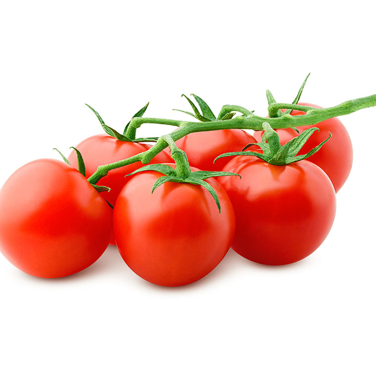 Tomate Rama BIO emb. 500 gr - Go Natural